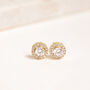 Gold Plated Round Crystal Stud Earrings, thumbnail 3 of 3