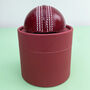 Flipper Genuine Cricket Ball Bottle Opener, thumbnail 4 of 8