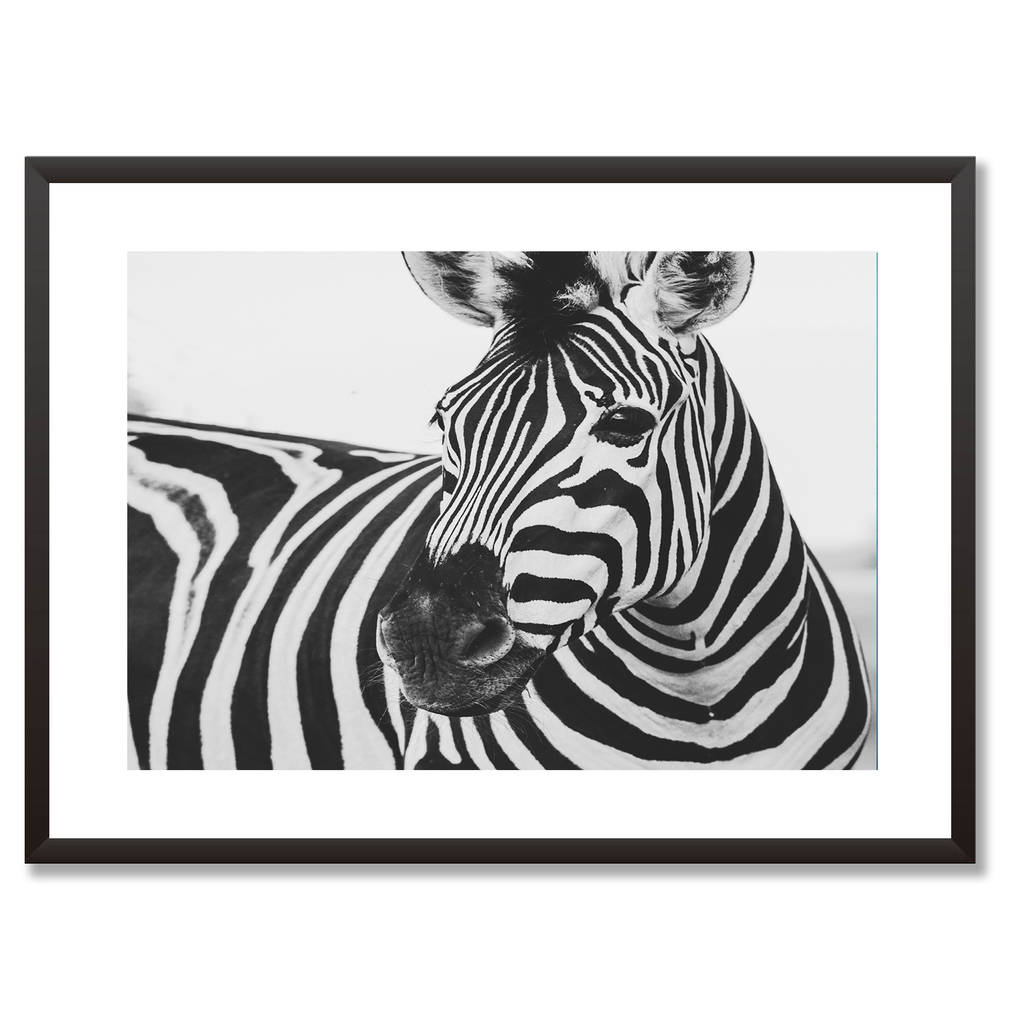 Zebra Art Print Animals Wall Art Print Gift By Abstract House ...