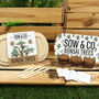 Sow And Co Grow Kits Chilli, Bonsai, Herbs Or Cactus, thumbnail 2 of 12