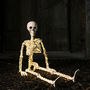 Micro LED Light Up Skeleton Halloween Decoration, thumbnail 12 of 12