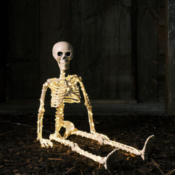 Micro LED Light Up Skeleton Halloween Decoration, 12 of 12