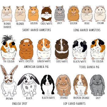 Personalised Dog Lover Varsity Pyjamas, 12 of 12
