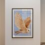 Barn Owl Art Print: British Wildlife Wall Decor, thumbnail 5 of 9