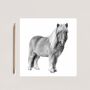 Hand Drawn Shetland Pony Greeting Card Illustration, thumbnail 2 of 5