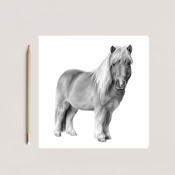 Hand Drawn Shetland Pony Greeting Card Illustration, 2 of 5