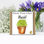 Gardening Gift. Grow Your Own Herbs. Basil Seeds Kit, thumbnail 2 of 4