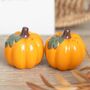 Pumpkin Salt And Pepper Shakers, thumbnail 1 of 2