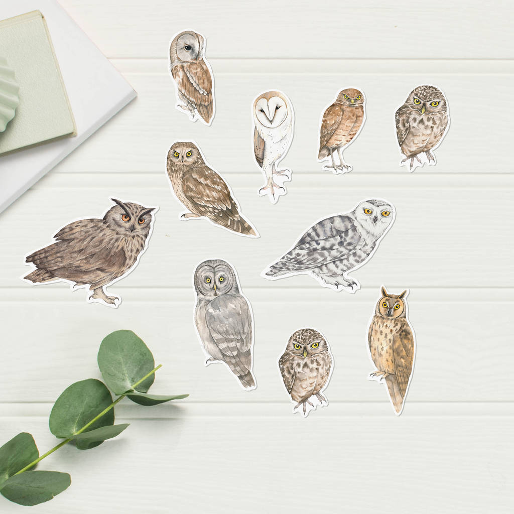 Owl Stickers By Dani Williams Art & Illustration