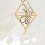 Gold Plate Seven Chakra Crystal Airplant Suncatcher, thumbnail 2 of 4