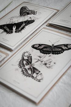 Monochrome Butterfly Greeting Cards – Set Of Four A6, 10 of 11
