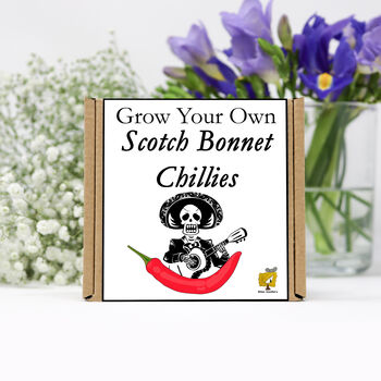 Grow Your Own Chilli Plant. Scotch Bonnet Seeds Kit, 2 of 4