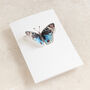 Blue Watercolour Butterfly Pop Out Card, thumbnail 3 of 3