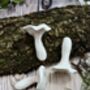 Porcelain Terrarium Fungi, thumbnail 8 of 9