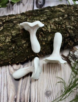 Porcelain Terrarium Fungi, 8 of 9