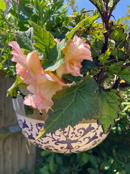 Aged Blue And White Ceramic Hanging Plant Pot Planter, 4 of 5