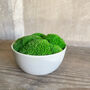 Preserved Moss In Ceramic Sugar Bowl, thumbnail 2 of 3