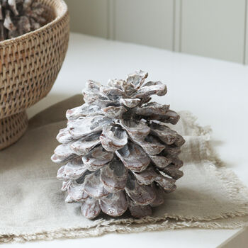 Large White Washed Pinecone, 3 of 4