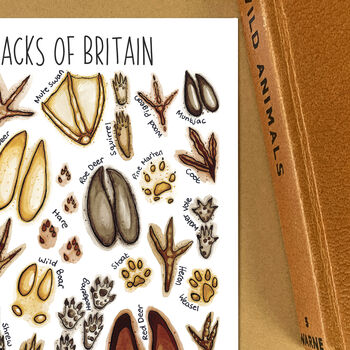Animal Tracks Of Britain Watercolour Postcard, 5 of 11