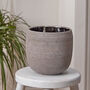 Mesiac Rippled Grey Plant Pot, thumbnail 3 of 5