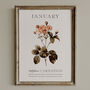 Birth Flower Wall Print 'Carnation' For January, thumbnail 8 of 9