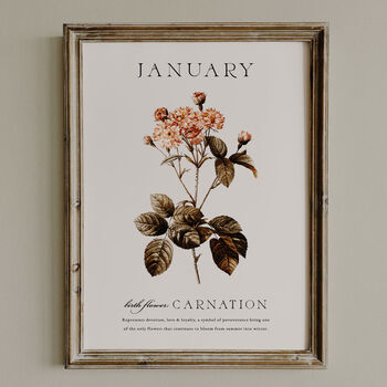 Birth Flower Wall Print 'Carnation' For January, 8 of 9