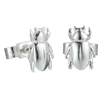 Chafer Beetle Stud Earrings Sterling Silver, 2 of 7