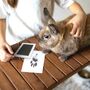 Paw Print Non Toxic Paw Print Ink Pad Kit For Small Mammals, thumbnail 1 of 10
