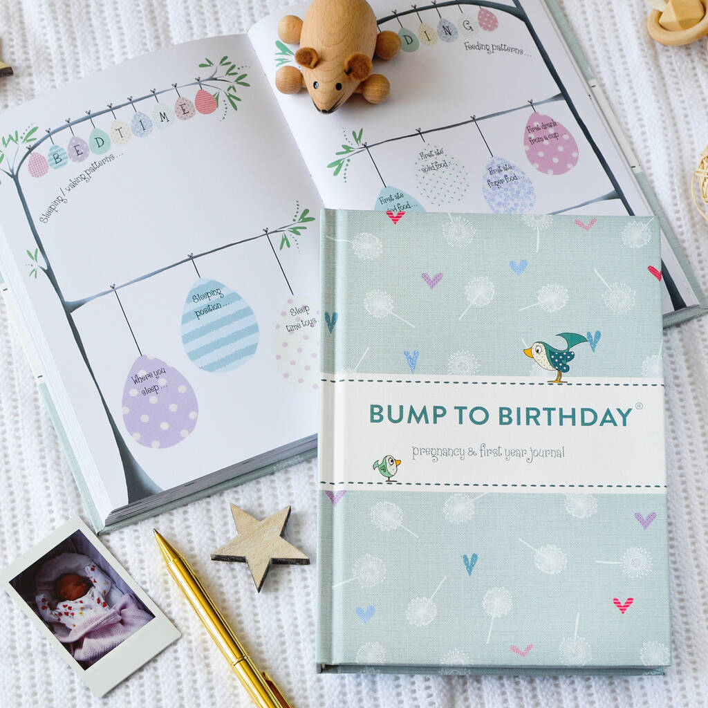 Paper place Baby Bump To 1st Birthday Journal 