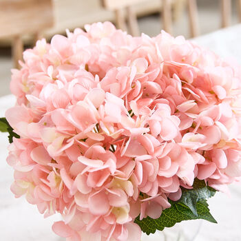 Pink Hydrangeas In Glass Vase, 2 of 4