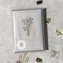 Set Of Six Different Purple And Blue Floral Notecards, thumbnail 10 of 11