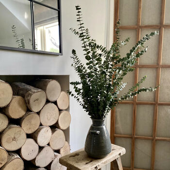 Fresh Cut Eucalyptus Baby Blue Greenery, 4 of 7