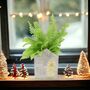 Boston Fern In Snowman Pot Air Purifying Gift, thumbnail 1 of 2