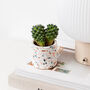 Classic Handmade Terrazzo Indoor Plant Pot, thumbnail 2 of 7