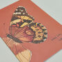 Pack Of Eight Greeting Cards Of British Insects, thumbnail 2 of 9