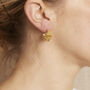Gold Plated Silver Hoop Stud Earrings, thumbnail 3 of 5