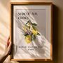 French Fruit Market Art Print Poster, France, Fruit, Lemon, Hand Drawn, thumbnail 4 of 5