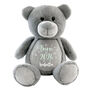 Personalised Born In 2026 Grey Plush Teddy Bear, thumbnail 11 of 11
