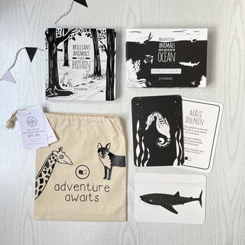 Black And White Sensory Book And Flash Card Gift Set, 2 of 9