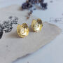 Pressed Flower Daisy Earrings Gold Plated, thumbnail 1 of 8