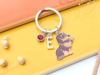 Personalised Sausage Dog, Dachshund Keyring, 7 of 10