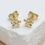 Silver Or Gold Plated Daisy Flower Stud Earrings, thumbnail 3 of 6