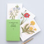 British Wild Flowers Illustrated Notelet Set, thumbnail 3 of 12