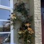 Copper Wall Trellis For Plants, thumbnail 4 of 6