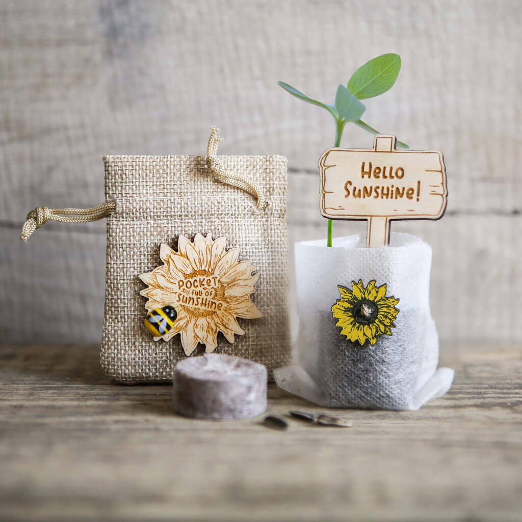 Pocket Full Of Sunshine … Mini Sunflower Kit, 1 of 4