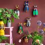 Stag Beetle 3D Wall Decoration, thumbnail 3 of 5