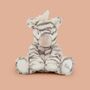 Personalised Zebra Soft Toy, thumbnail 1 of 6