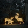 Set Of Two Extra Large Light Up Rattan Reindeer Outdoor Figures, thumbnail 1 of 5