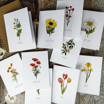 Set Of 10 Different Wildflower Notecards And Envelopes, 6 of 7