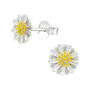 Sterling Silver Daisy Flower Studs In A Gift Tin, thumbnail 2 of 9